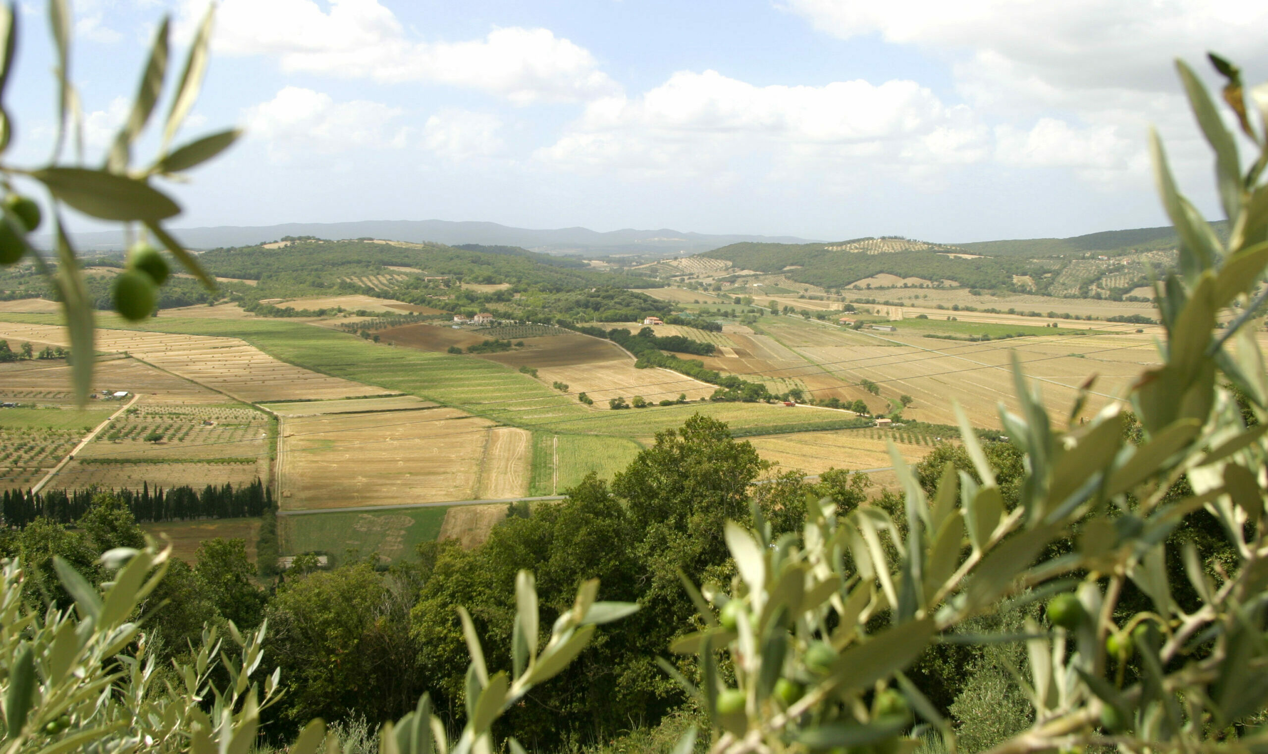 toscana_vy