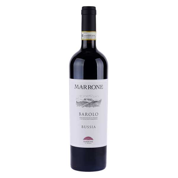 100013_barolo-bussia