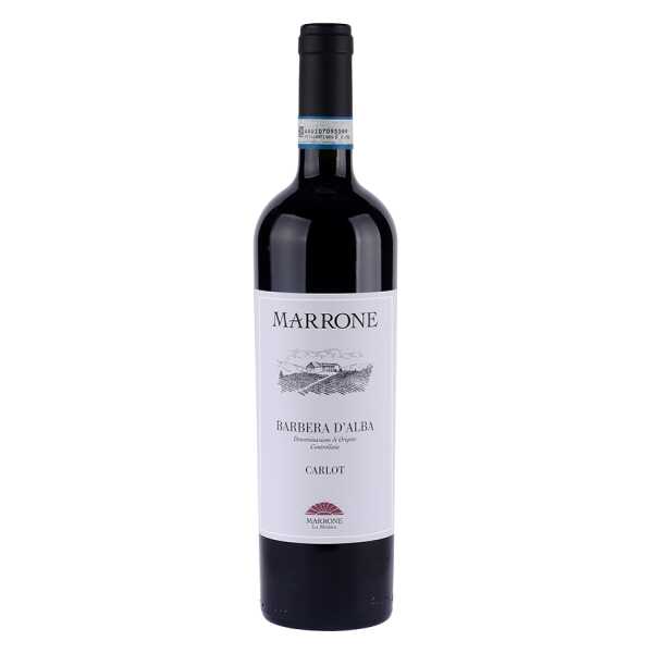 100017_barbera-carlot