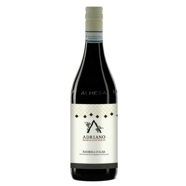 11021_Barbera-alba-vite