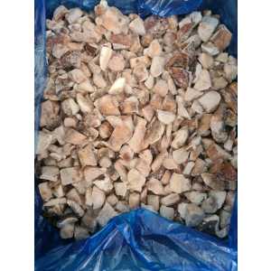 13313_Funghi-Porcini-tarnad_NOVA