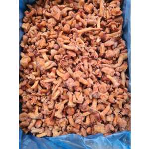 13346_Kantareller-Galletti-NOVA