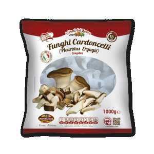 13650_del-bosco-funghi-cardoncelli-busta