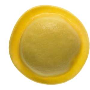 13886_panzotti_mozzarella-e-pomodore