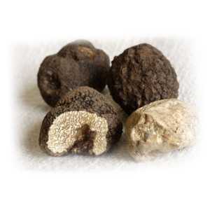 13919_tartufi