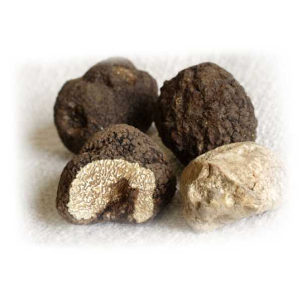 13919_tartufi