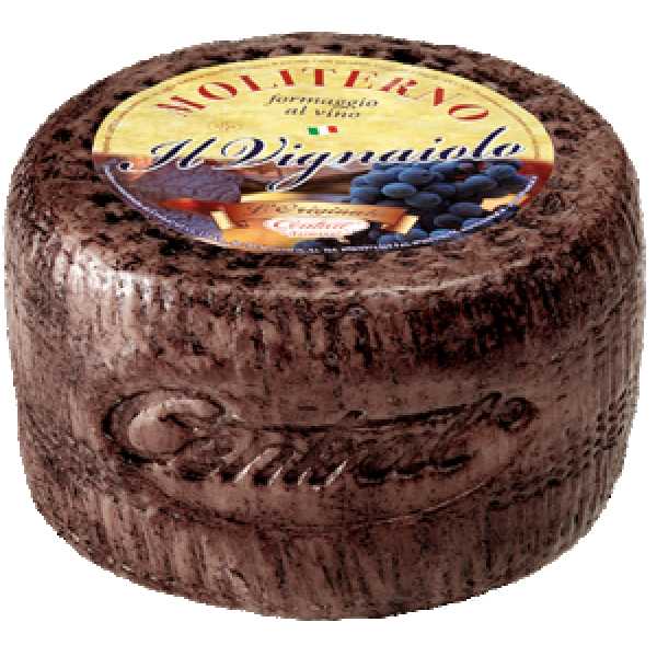 20363_Pecorino-vino-Moliterno