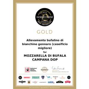 Formaggio-mondiale-2025