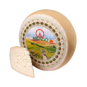 14254_Asiago-Forma