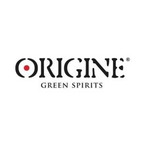 Origine_ingombro-logo